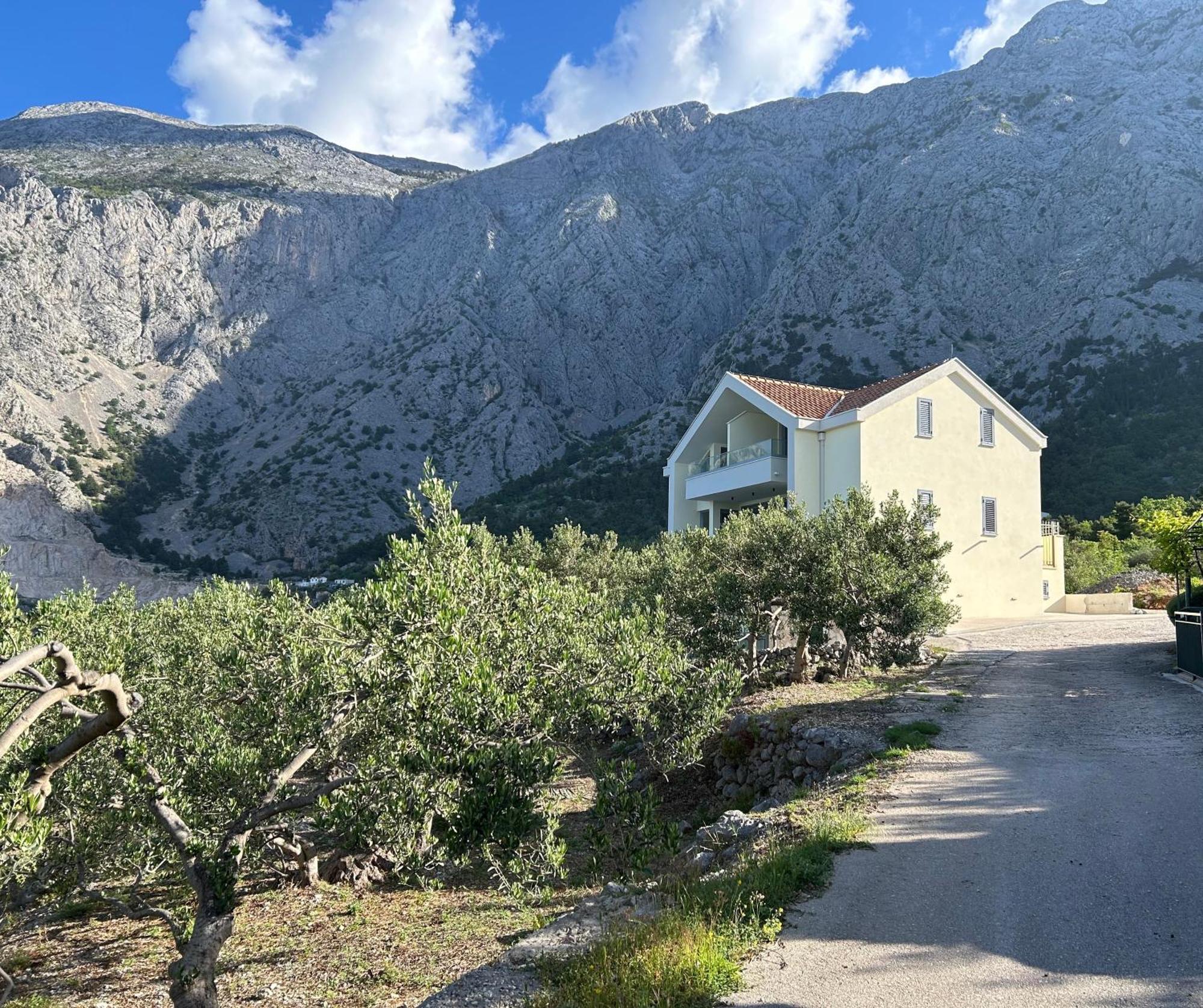 Villa Olivia Holiday home